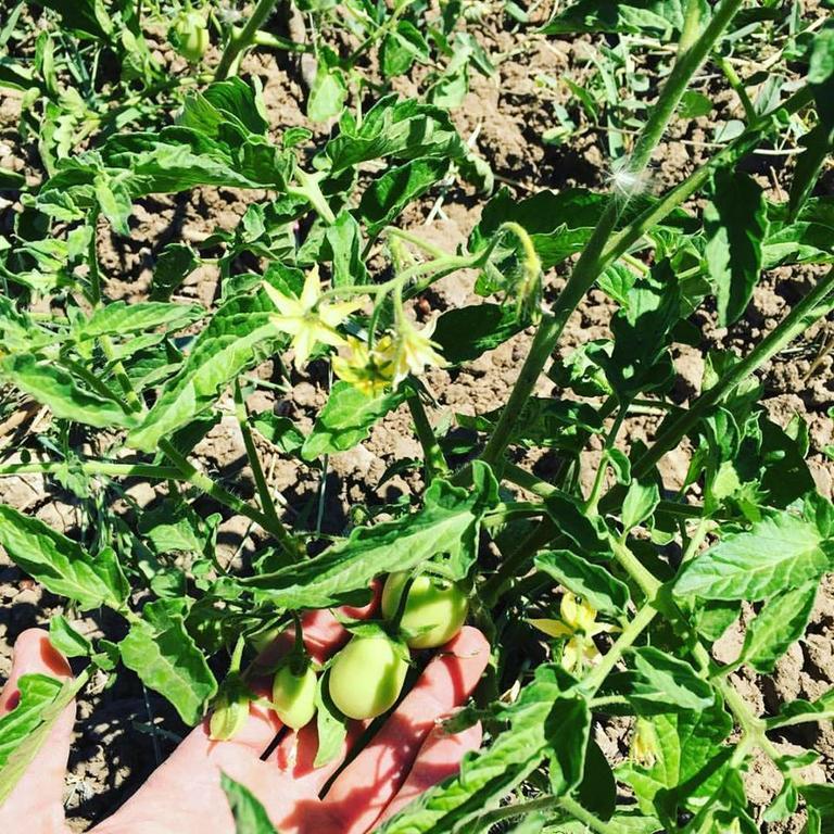 Tenuta Lanza Il Mulino Acquaviva Platani Extérieur photo