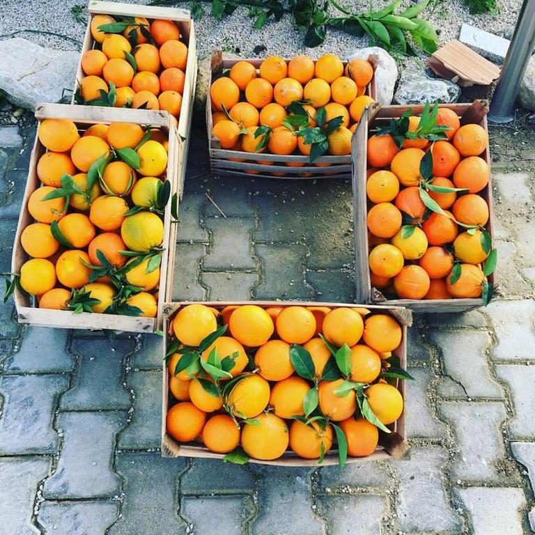 Tenuta Lanza Il Mulino Acquaviva Platani Extérieur photo