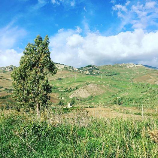 Tenuta Lanza Il Mulino Acquaviva Platani Extérieur photo